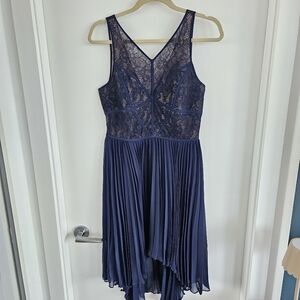 BCBG Paris Lilly lace dress sz 8